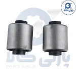 بوش بزرگ سگ دست جلو جک S5